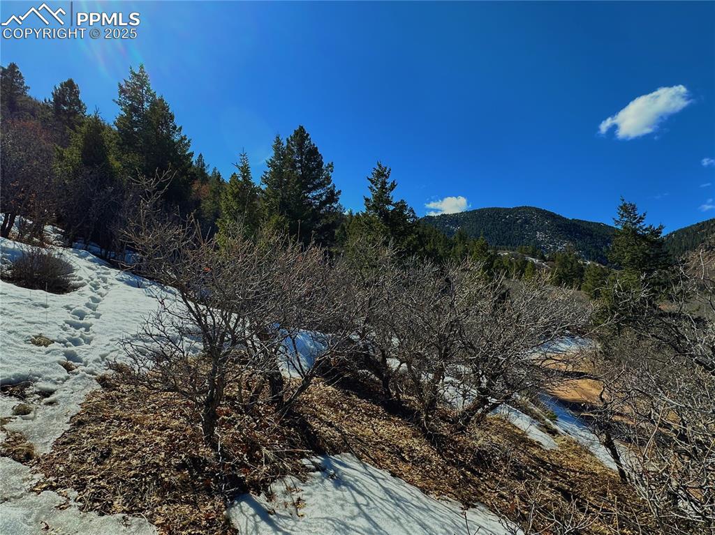 4405 Diamondback Drive Colorado Springs, CO 80921 - Photo 11 of 21 a view of a houses with a yard