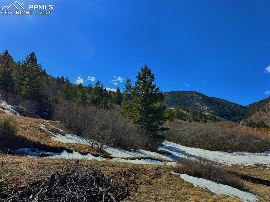 4405 Diamondback Drive Colorado Springs, CO 80921 - Photo 17 of 21 a view of a street with a building in the background