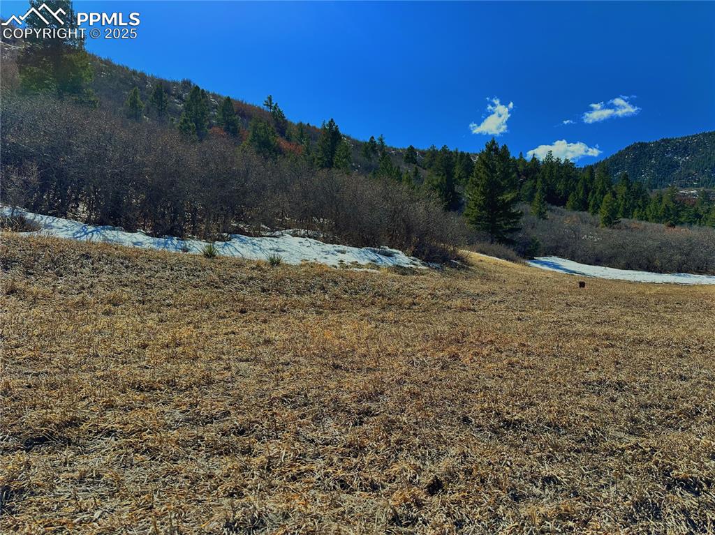 4405 Diamondback Drive Colorado Springs, CO 80921 - Photo 18 of 21 a view of a yard