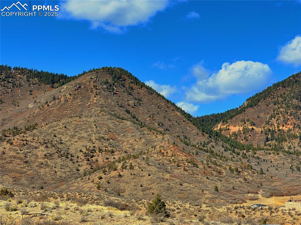 4405 Diamondback Drive Colorado Springs, CO 80921 - Photo 19 of 21 a view of a dry yard