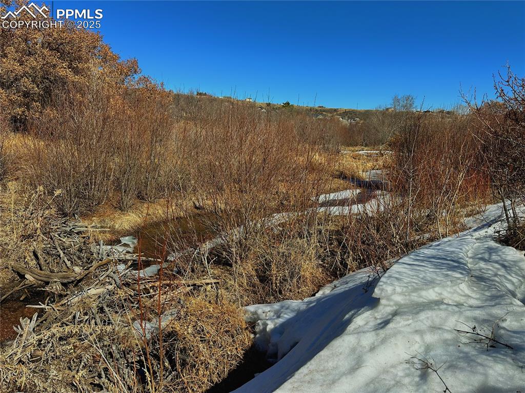 4405 Diamondback Drive Colorado Springs, CO 80921 - Photo 4 of 21 a view of a yard with a mountain view in the background