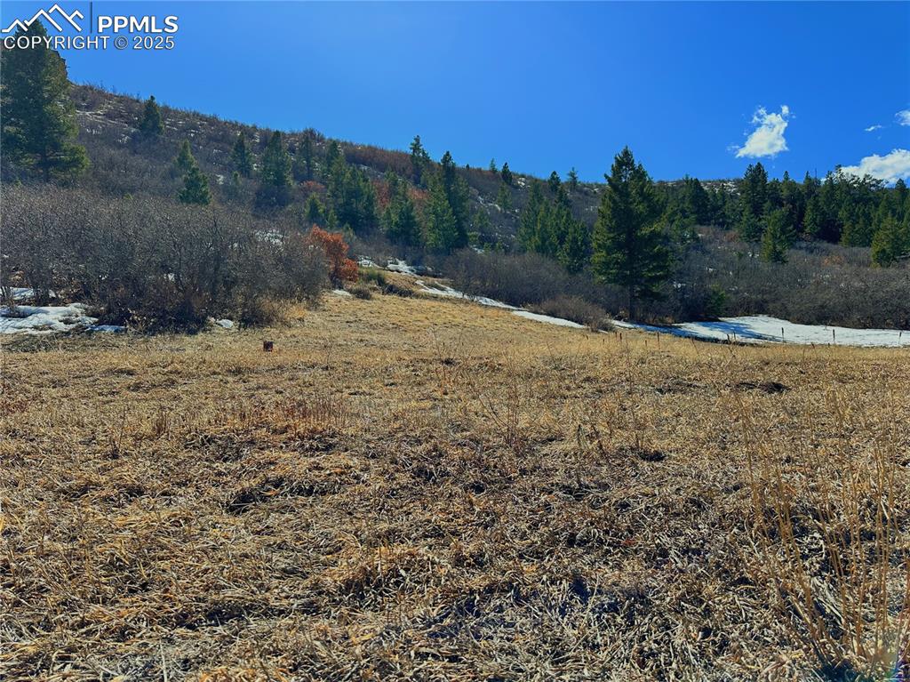4405 Diamondback Drive Colorado Springs, CO 80921 - Photo 5 of 21 a view of a dry yard