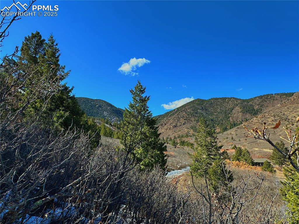 4405 Diamondback Drive Colorado Springs, CO 80921 - Photo 8 of 21 a view of a houses with a yard