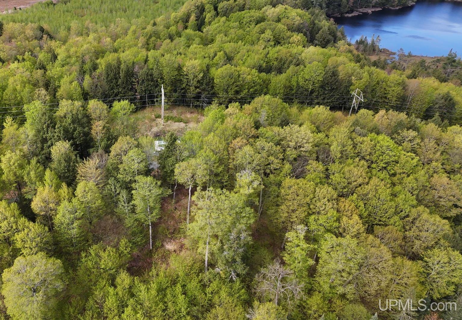 Tbd10 Baraga Plains Road Lanse, MI 49946 - Photo 6 of 19