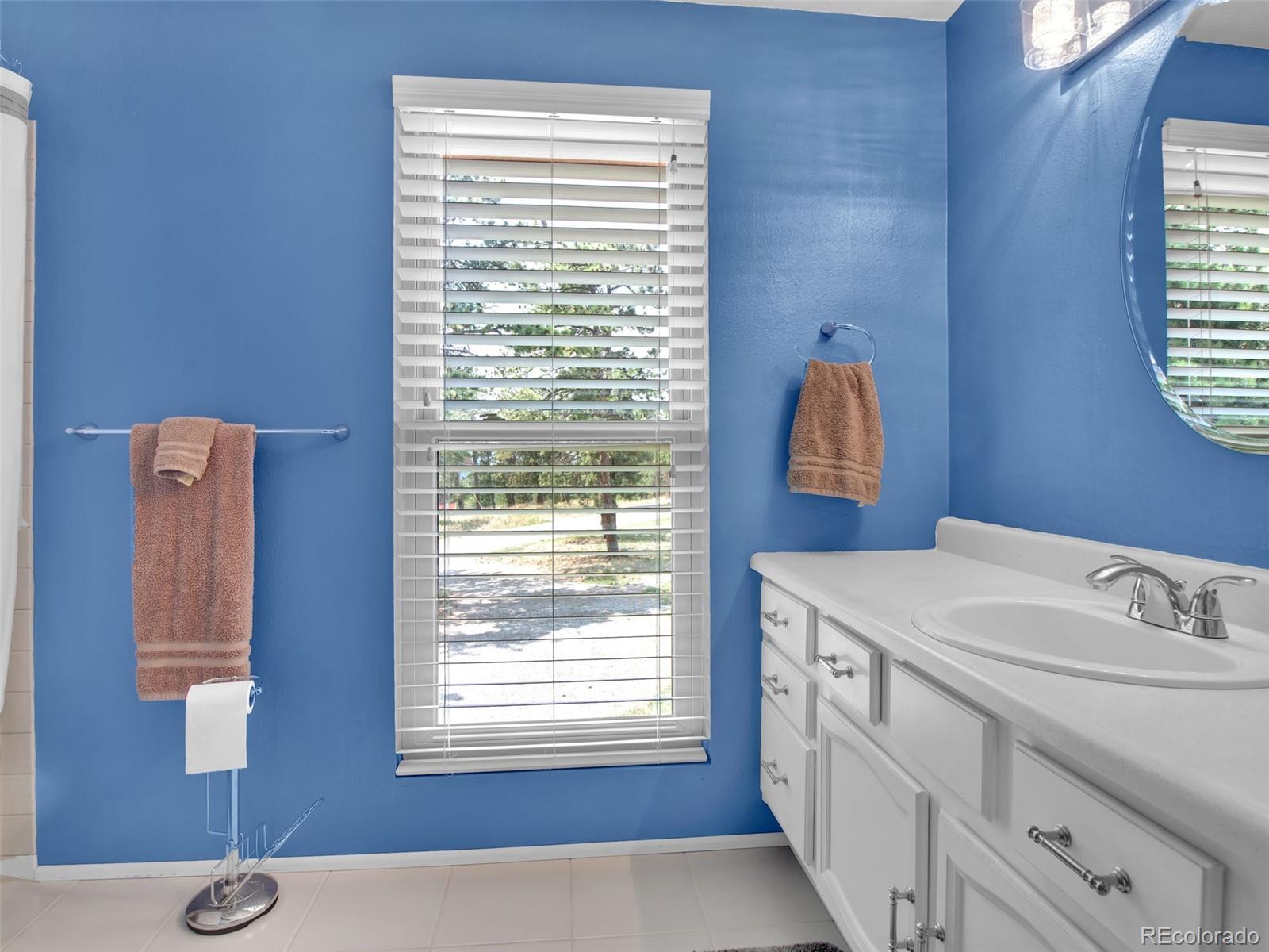 651 Lindsey Road Golden, CO 80401 - Photo 38 of 40 a bathroom with a sink and a mirror
