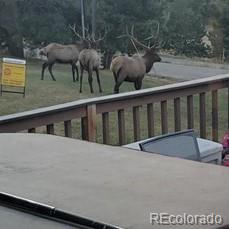 651 Lindsey Road Golden, CO 80401 - Photo 40 of 40 a view of balcony with two chairs