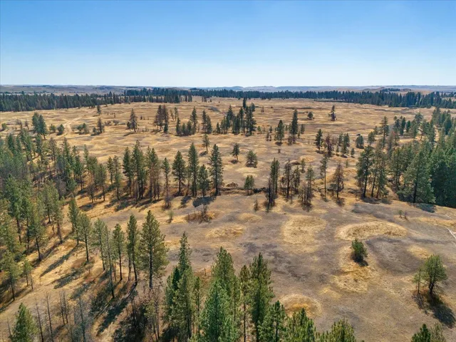 $725,000 | 36377 South Bootstrap Lane, Unit LOT E, Cheney, WA 99004