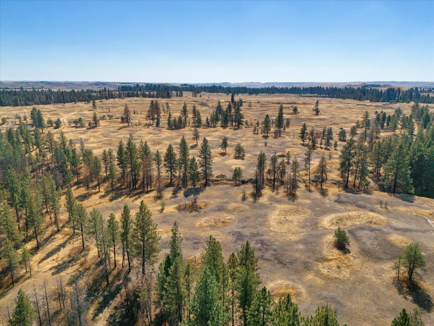 36377 South Bootstrap Lane, Unit LOT E Cheney, WA 99004 - Photo 12 of 15