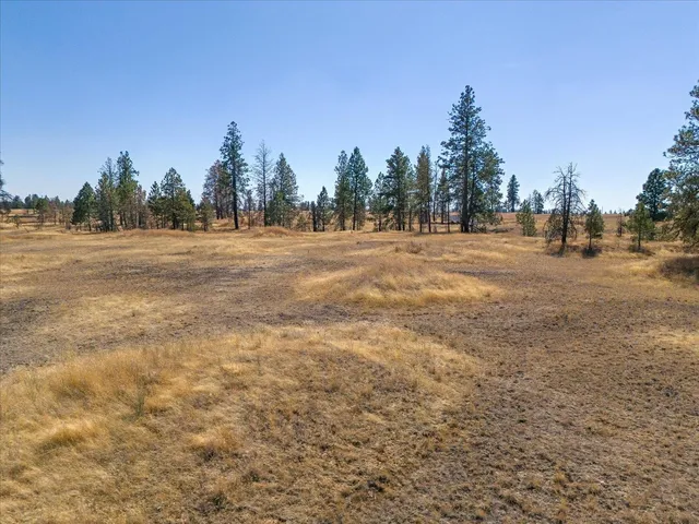 $725,000 | 36377 South Bootstrap Lane, Unit LOT E, Cheney, WA 99004