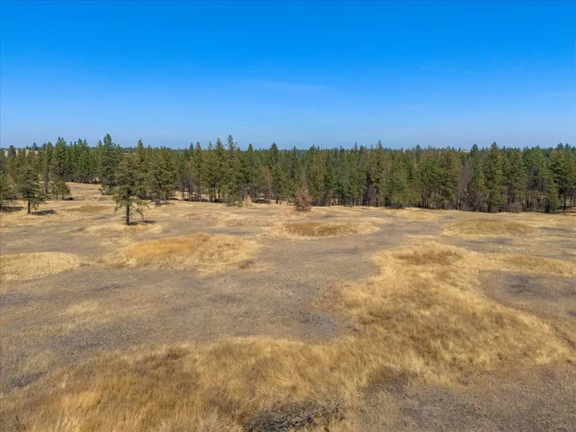 $725,000 | 36377 South Bootstrap Lane, Unit LOT E, Cheney, WA 99004