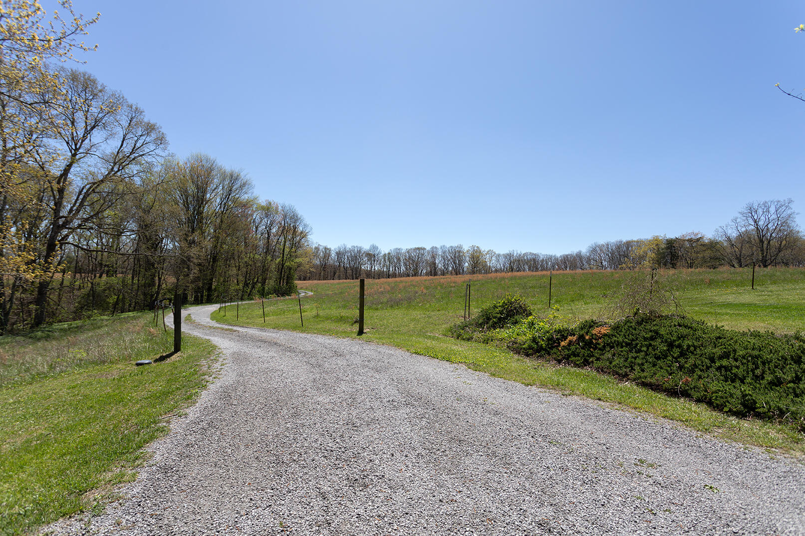 175 Twitty Road Dunlap, TN 37327 - Photo 26 of 62 Driveway