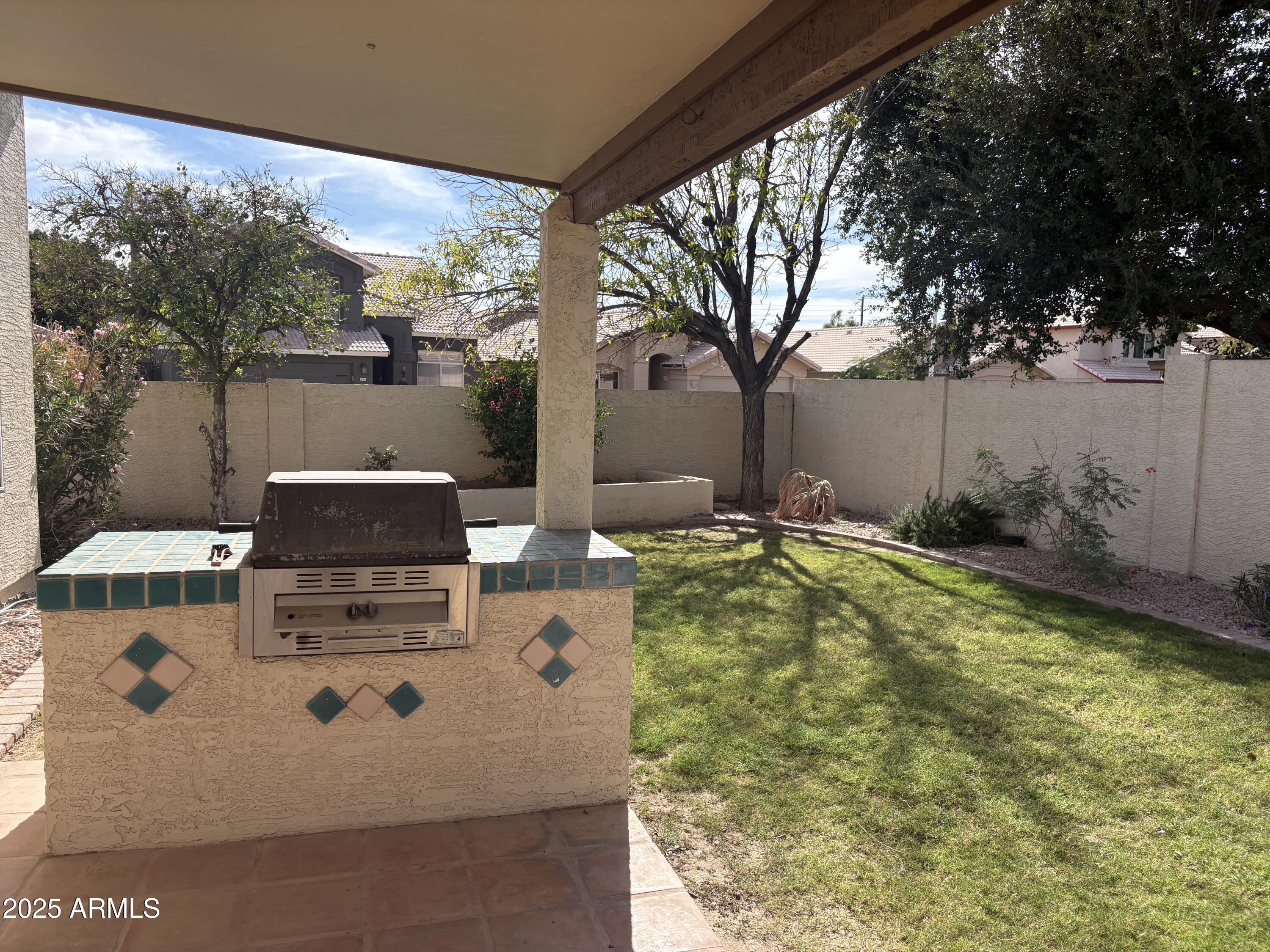 1472 East Constitution Drive Chandler, AZ 85225 - Photo 13 of 27 a view of a backyard with garden