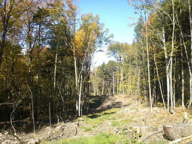 $600,000 | 0 Dogwood Springs Road, Unit LOT 3, Stowe, VT 05672