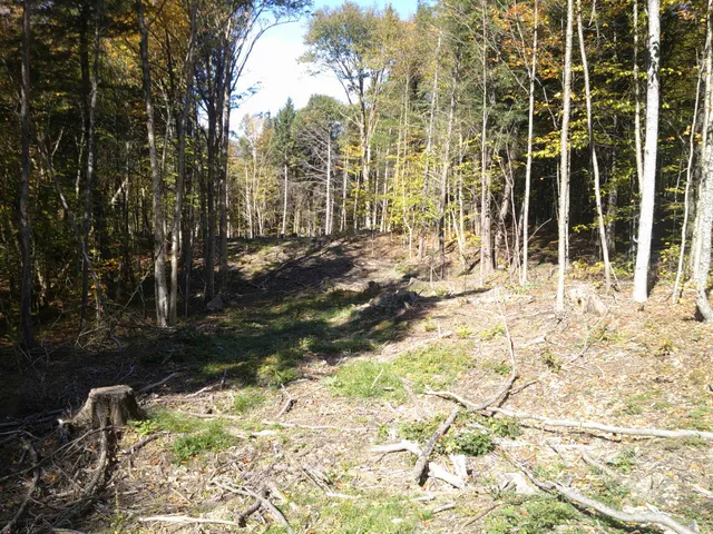 $600,000 | 0 Dogwood Springs Road, Unit LOT 3, Stowe, VT 05672