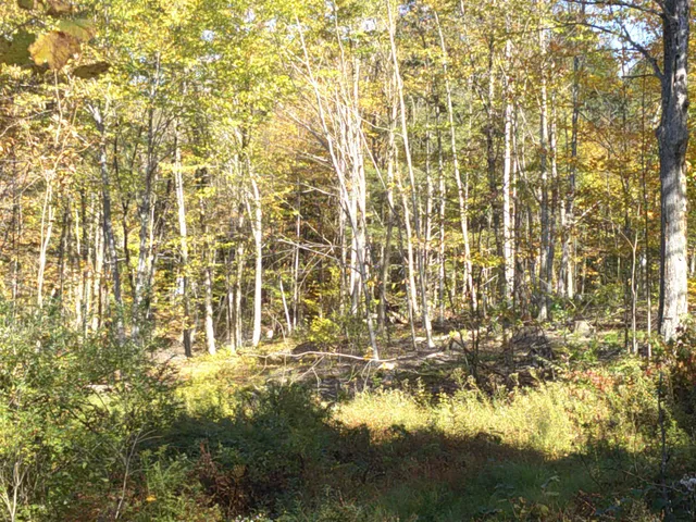 $600,000 | 0 Dogwood Springs Road, Unit LOT 3, Stowe, VT 05672