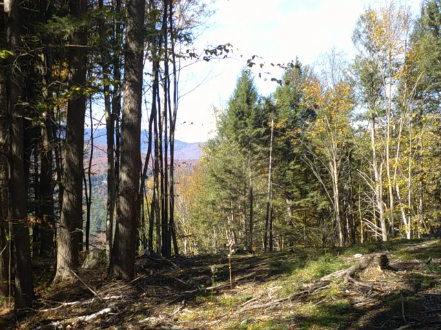 $600,000 | 0 Dogwood Springs Road, Unit LOT 3, Stowe, VT 05672