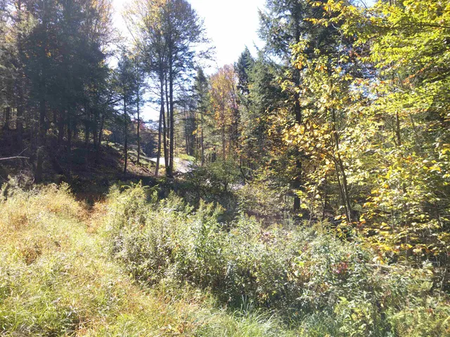 $600,000 | 0 Dogwood Springs Road, Unit LOT 3, Stowe, VT 05672