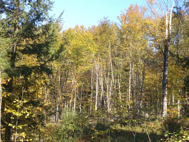 $600,000 | 0 Dogwood Springs Road, Unit LOT 3, Stowe, VT 05672