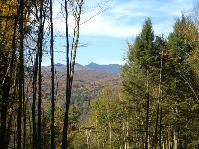 $600,000 | 0 Dogwood Springs Road, Unit LOT 3, Stowe, VT 05672