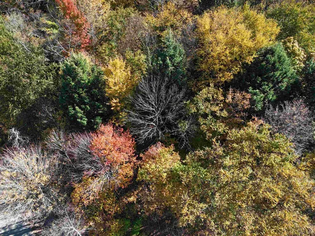 $600,000 | 0 Dogwood Springs Road, Unit LOT 3, Stowe, VT 05672