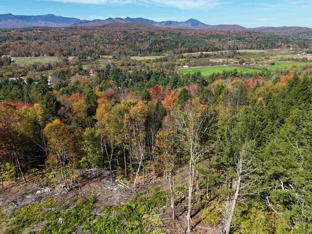 $600,000 | 0 Dogwood Springs Road, Unit LOT 3, Stowe, VT 05672