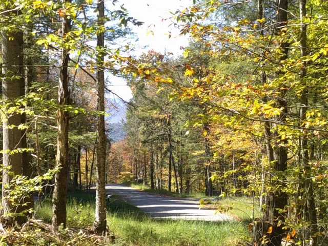 $600,000 | 0 Dogwood Springs Road, Unit LOT 3, Stowe, VT 05672