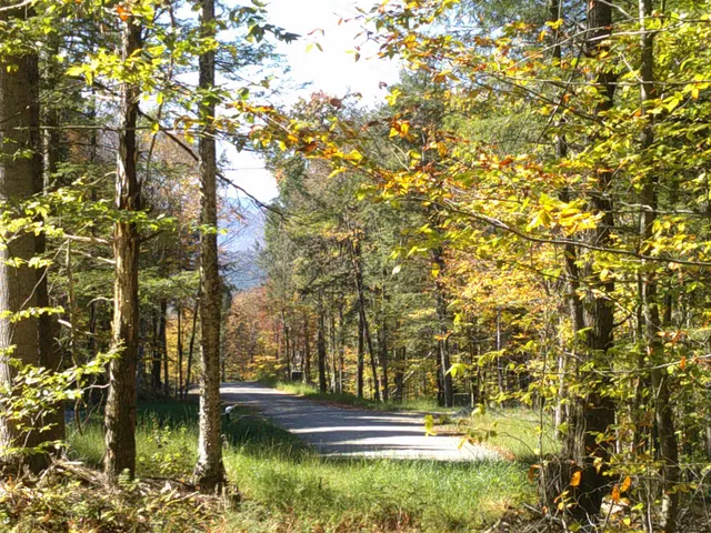 $600,000 | 0 Dogwood Springs Road, Unit LOT 3, Stowe, VT 05672