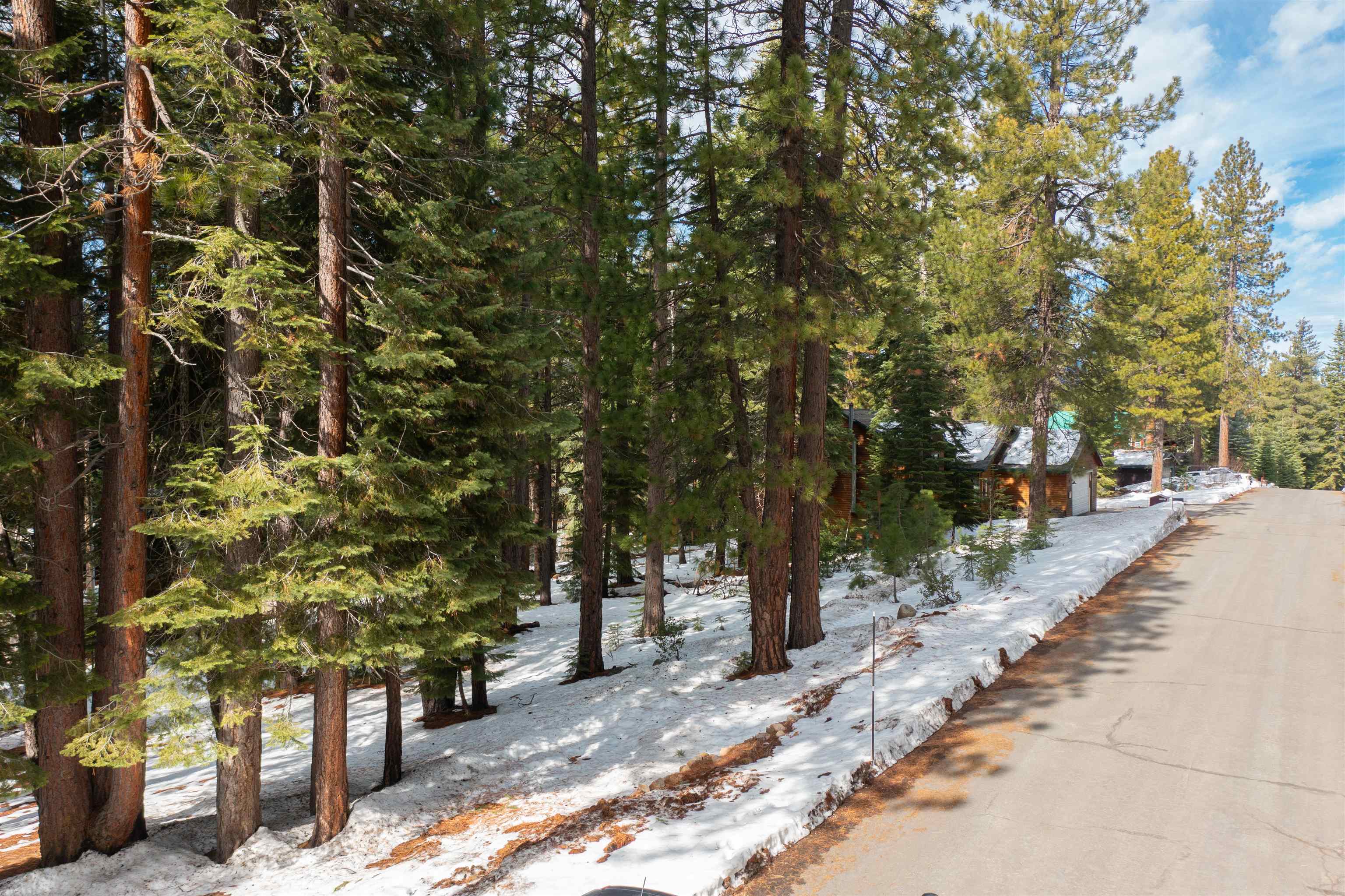 12006 Ski Run Road Truckee, CA 96161 - Photo 6 of 10