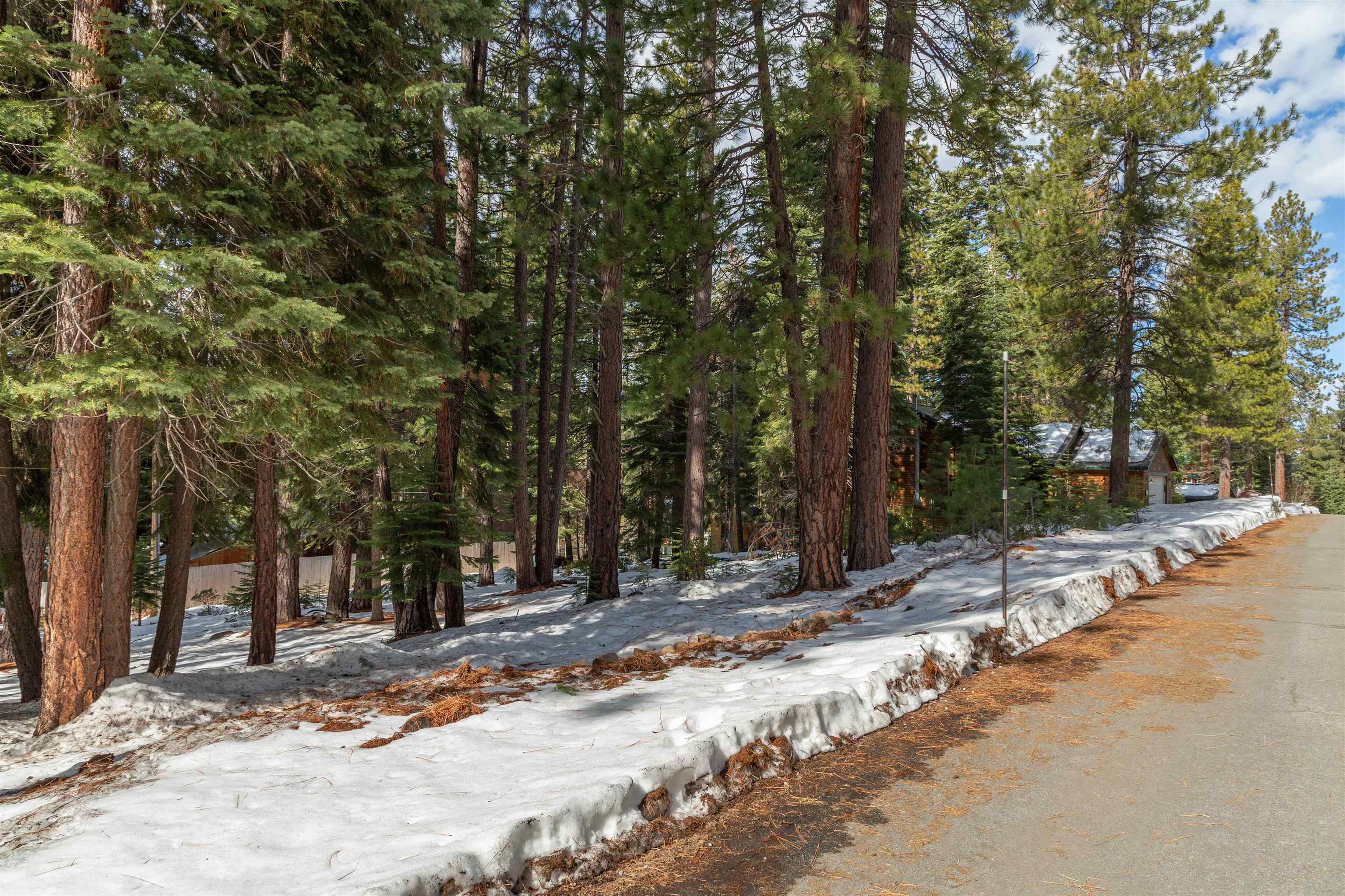 12006 Ski Run Road Truckee, CA 96161 - Photo 7 of 10