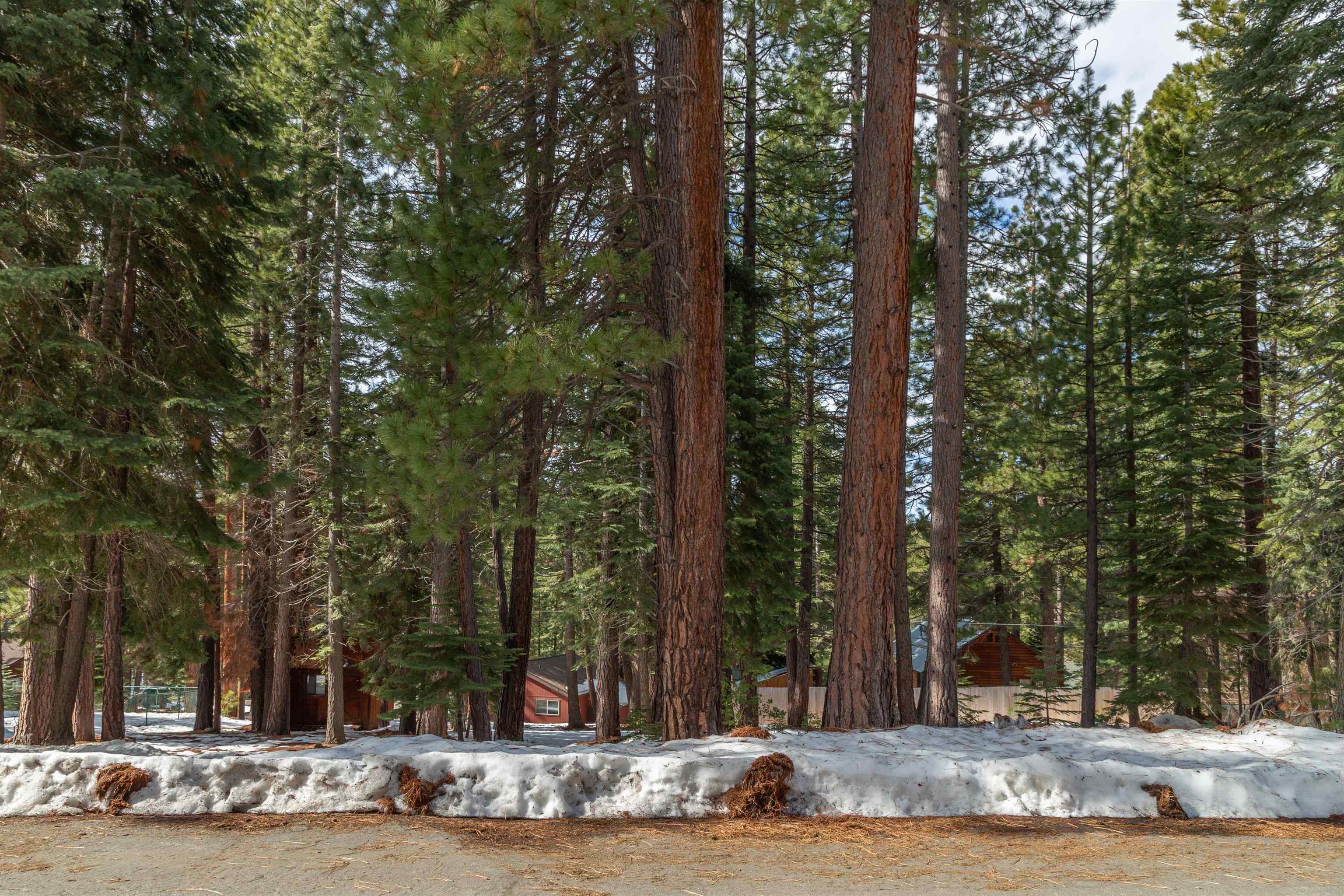 12006 Ski Run Road Truckee, CA 96161 - Photo 8 of 10