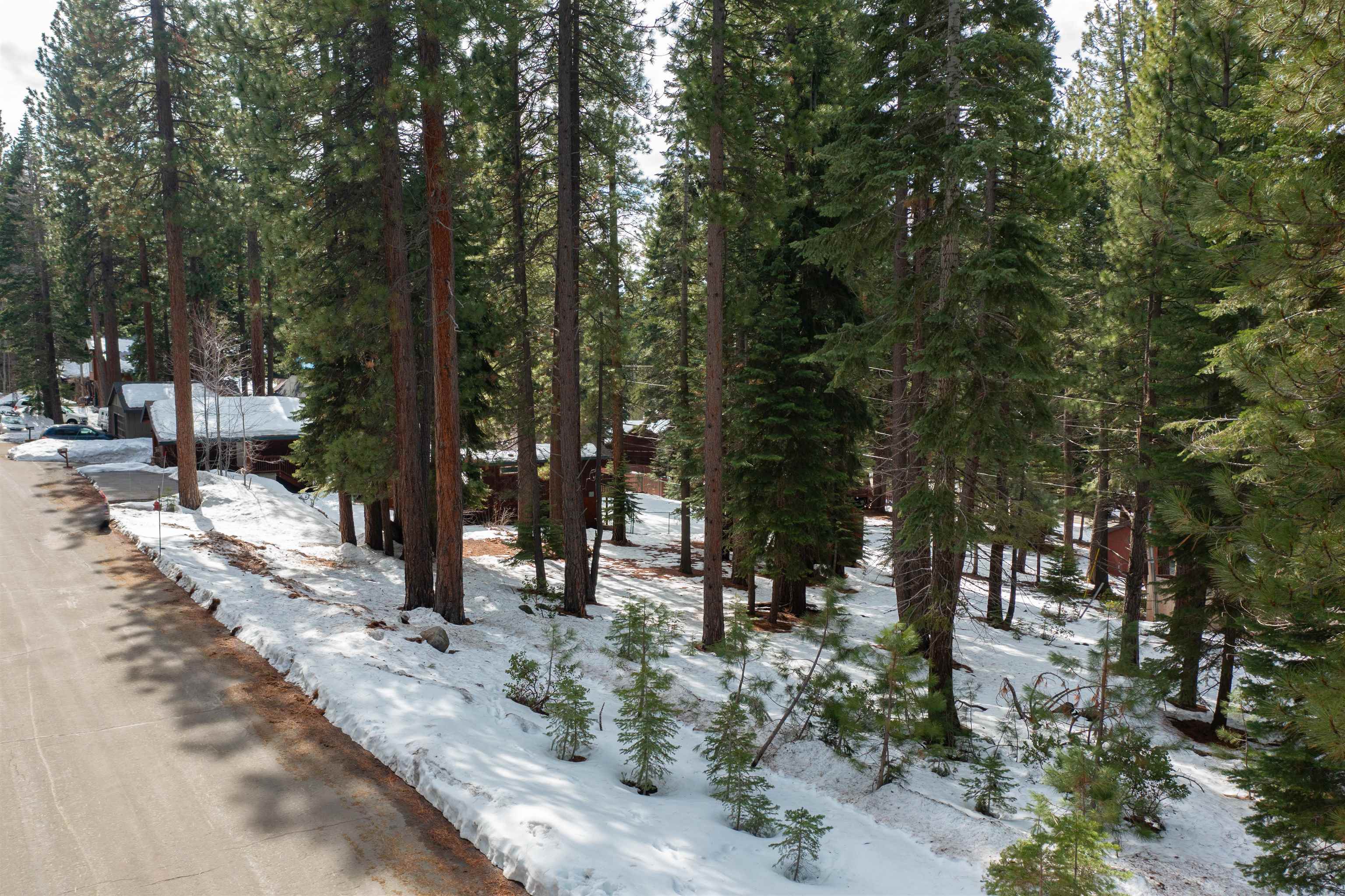 12006 Ski Run Road Truckee, CA 96161 - Photo 9 of 10