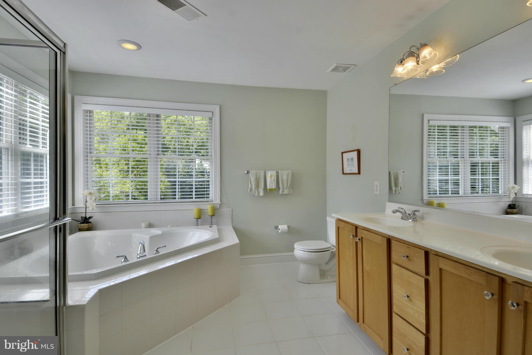 606 Burley Road Annapolis, MD 21409 - Photo 8 of 30 Bath (Master)