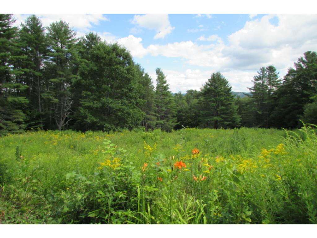 0 Hopson Road Norwich, VT 05055 - Photo 15 of 16