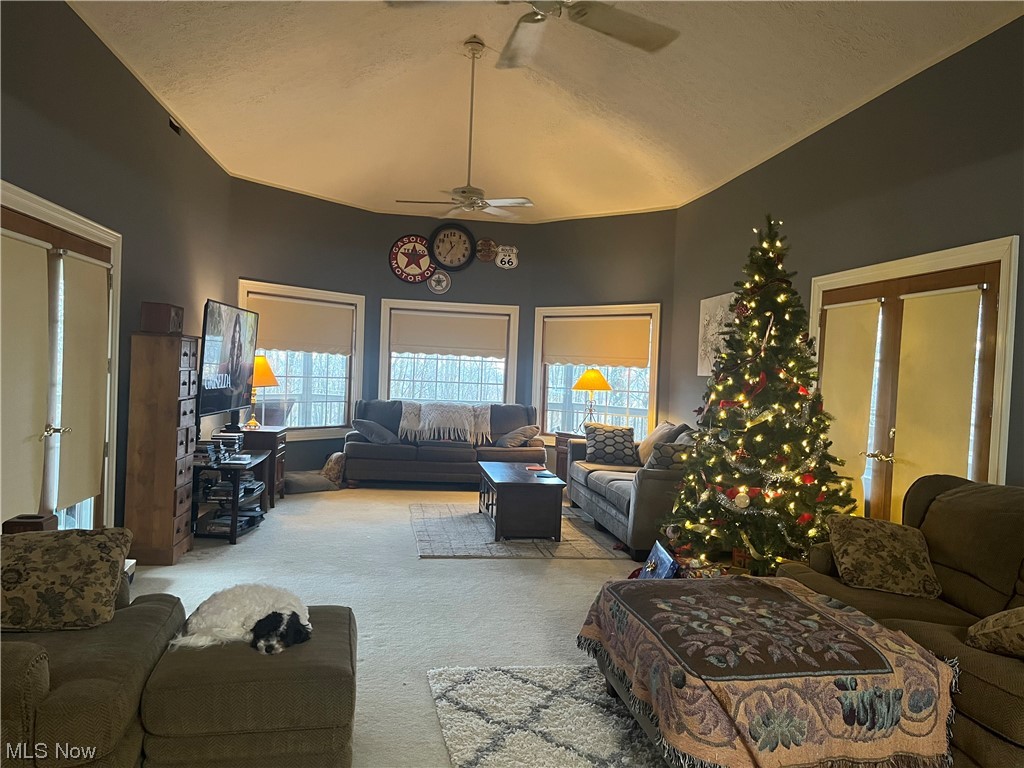 72895 Irish Ridge Road Kimbolton, OH 43749 - Photo 13 of 21 Living room featuring ceiling fan, light colored carpet, vaulted ceiling, and french doors