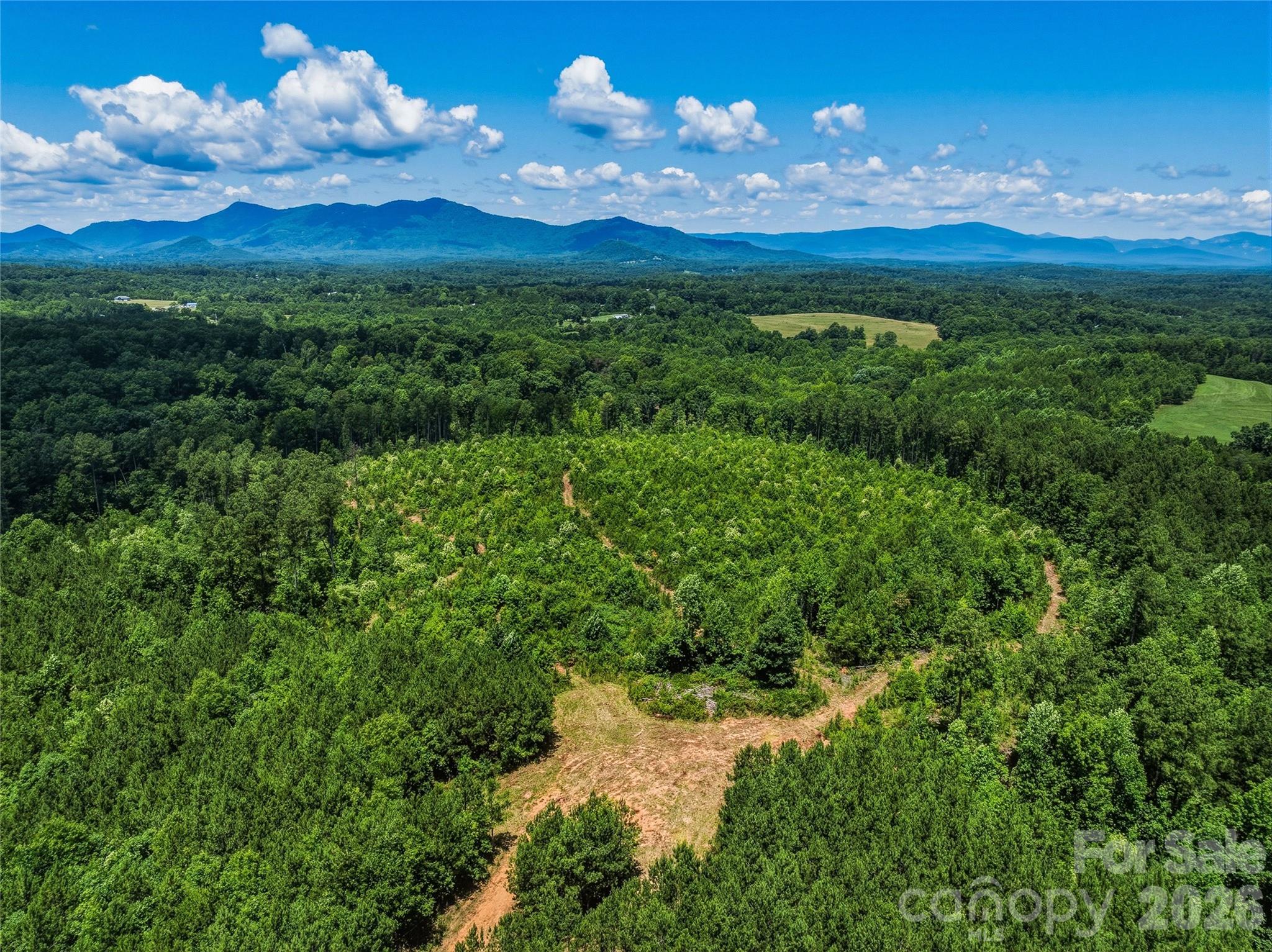 6783 Peniel Road Tryon, NC 28782 - Photo 16 of 36