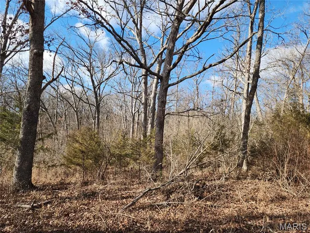 $15,000 | Lot 48 Block G Red Bud Drive, Catawissa, MO 63015