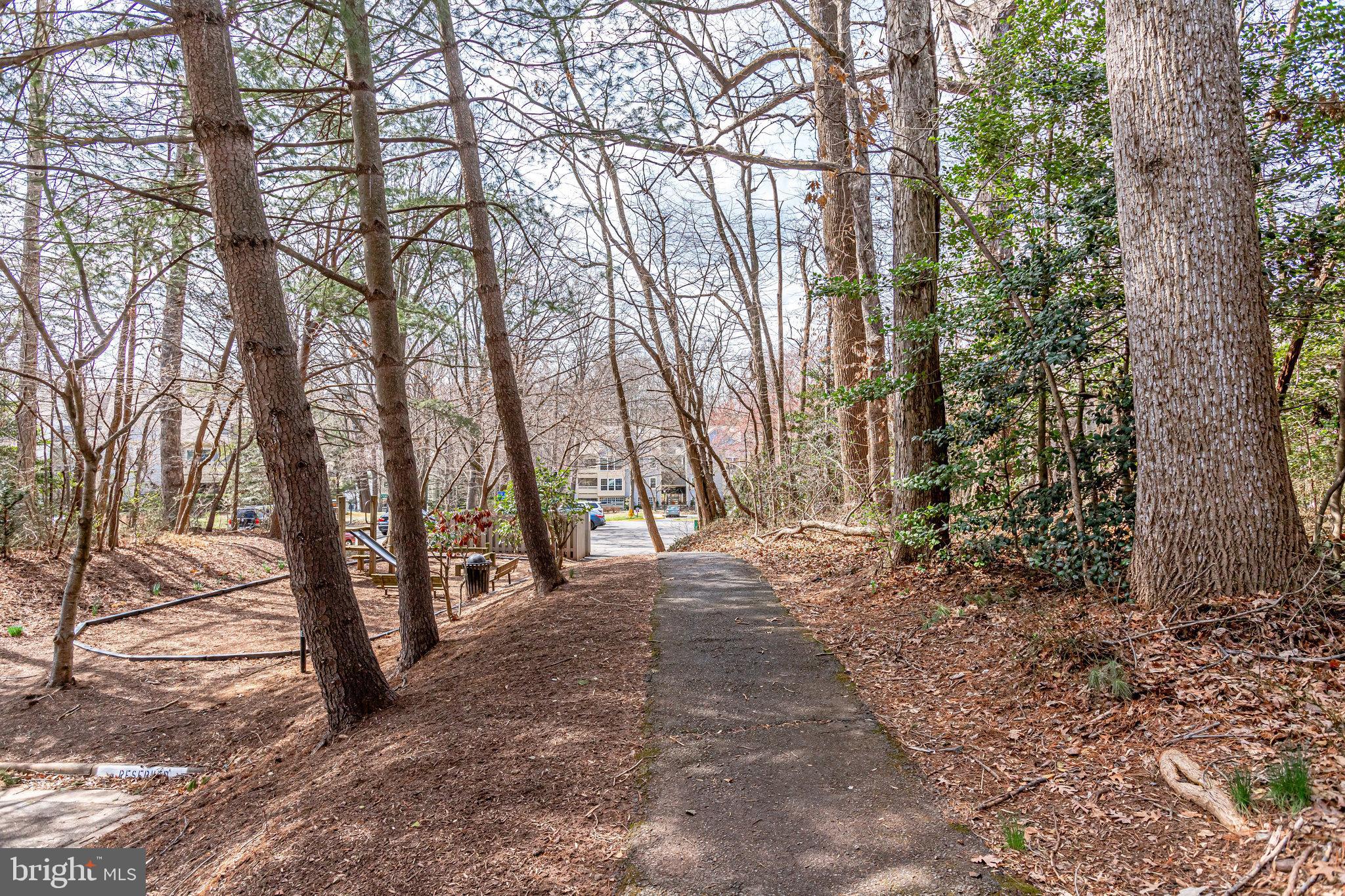 2212 Springwood Drive, Unit 206 Reston, VA 20191 - Photo 40 of 46 a view of outdoor space and trees