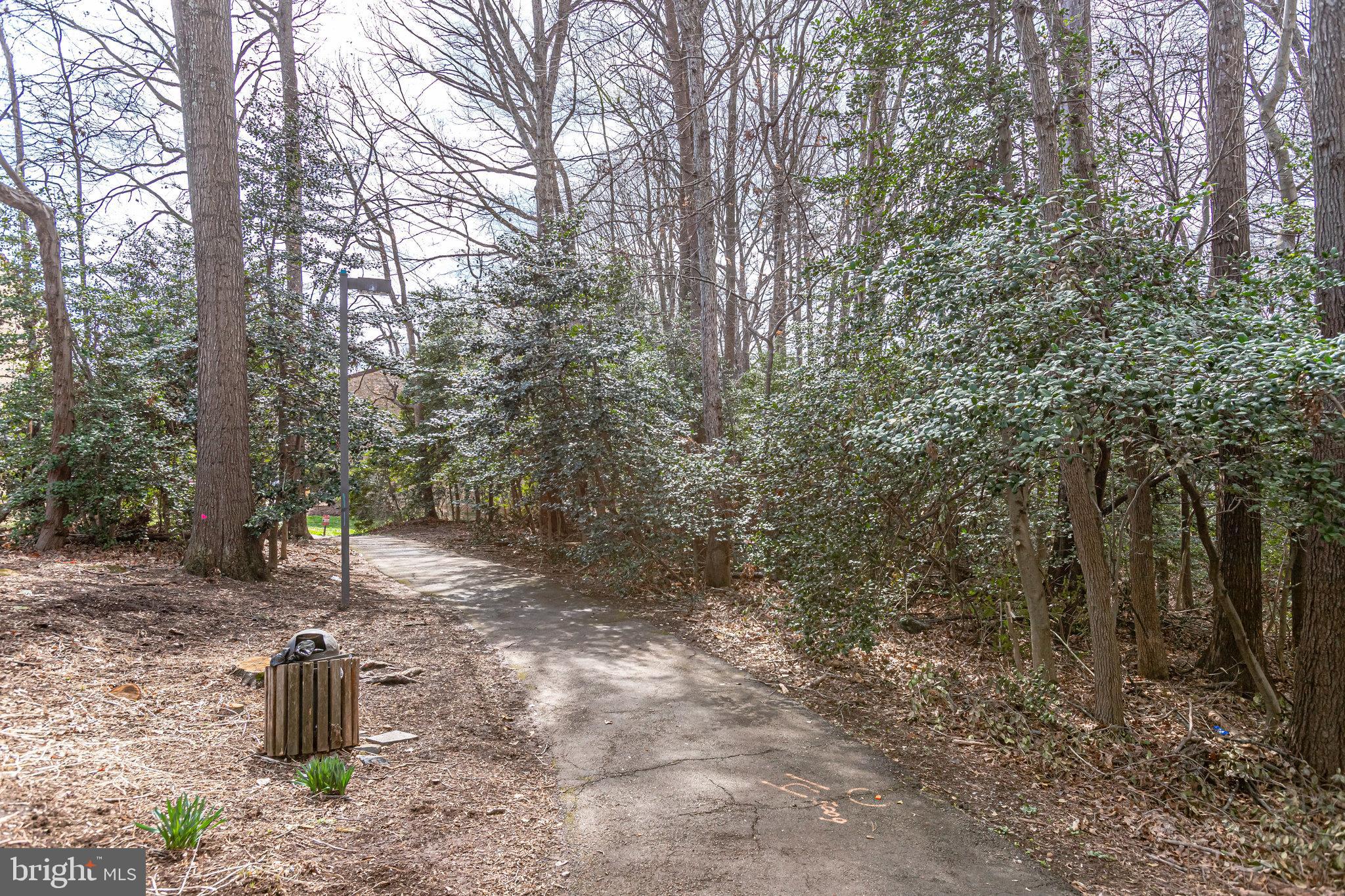 2212 Springwood Drive, Unit 206 Reston, VA 20191 - Photo 41 of 46 a view of a water with mountain view