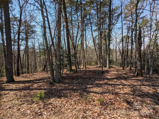 a view of a backyard with large trees