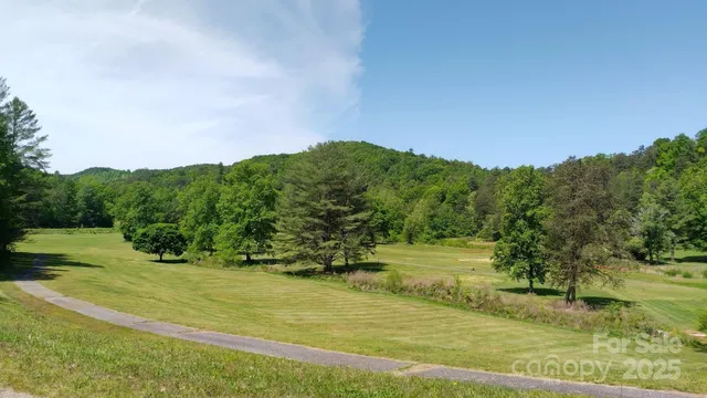 view of a field of grass and trees