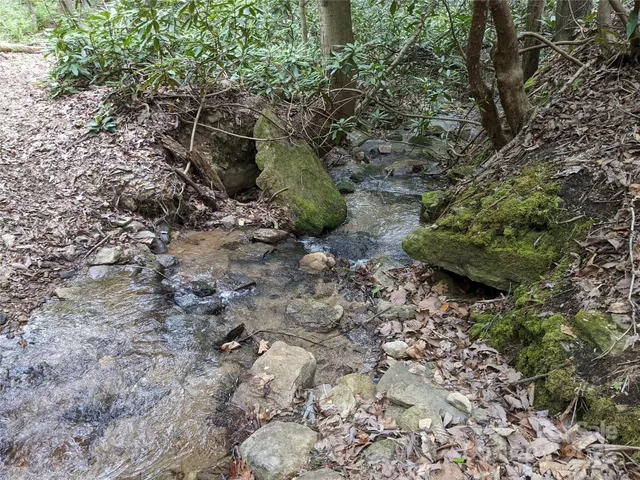 a view of a tree in a yard