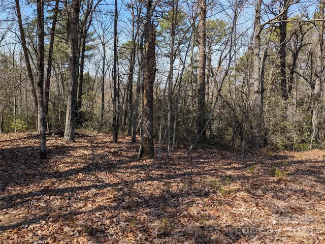a view of outdoor space with trees