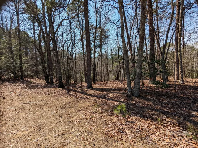 a view of a backyard with large trees