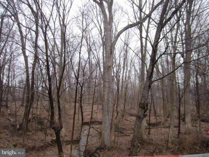 48 Main Street Chesterbrook, PA 19087 - Photo 6 of 6