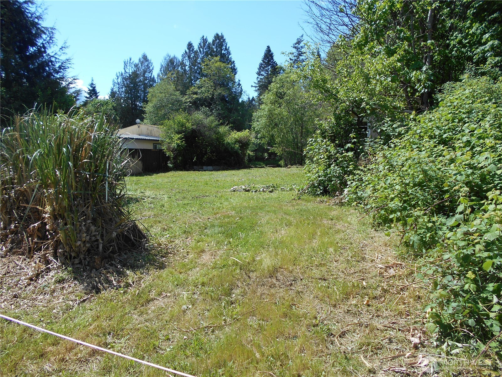 170 Kelly Road Brinnon, WA 98320 - Photo 21 of 29 a view of outdoor space and yard