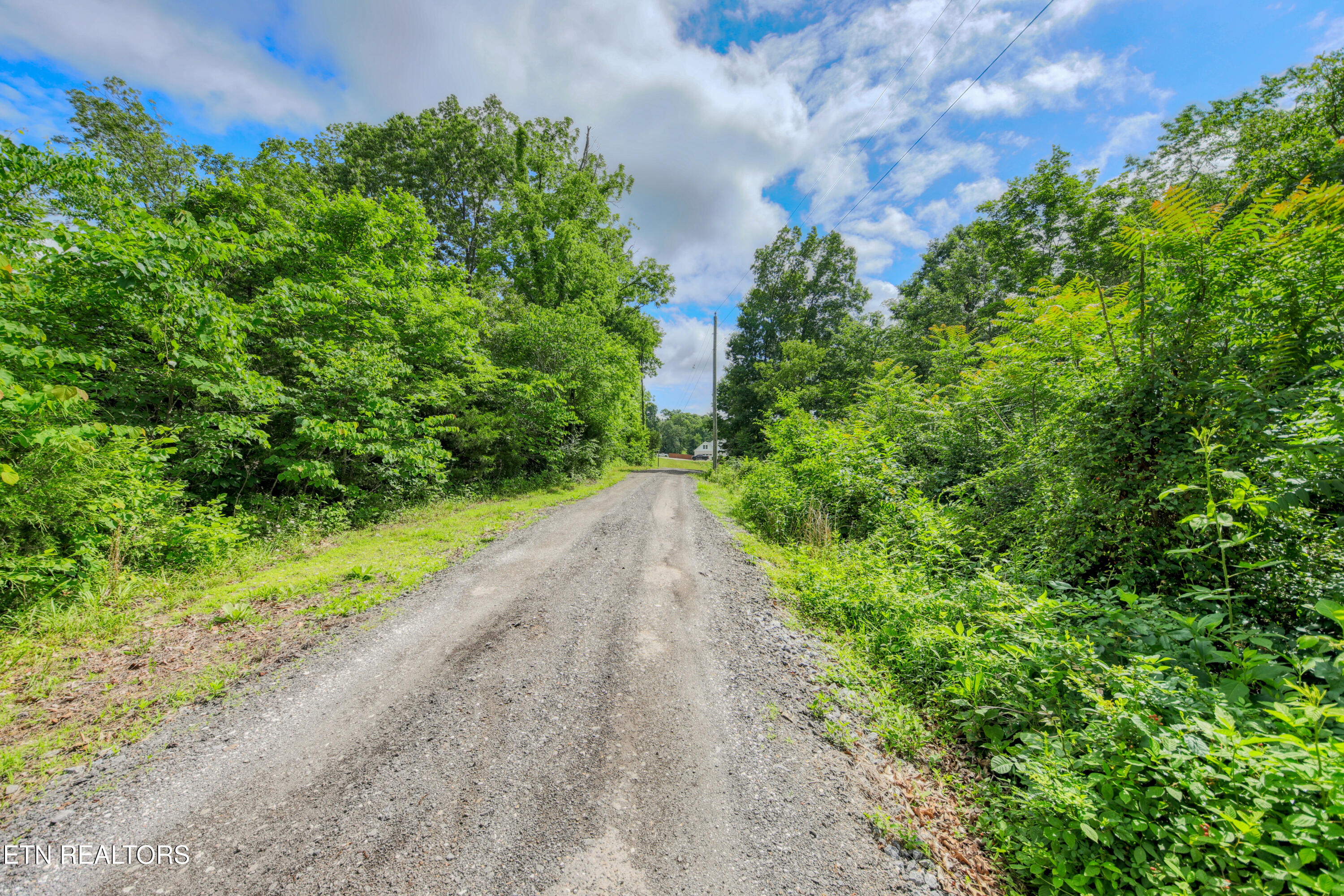 1110 Dalton Road Dandridge, TN 37725 - Photo 55 of 57 0H3A8245_131