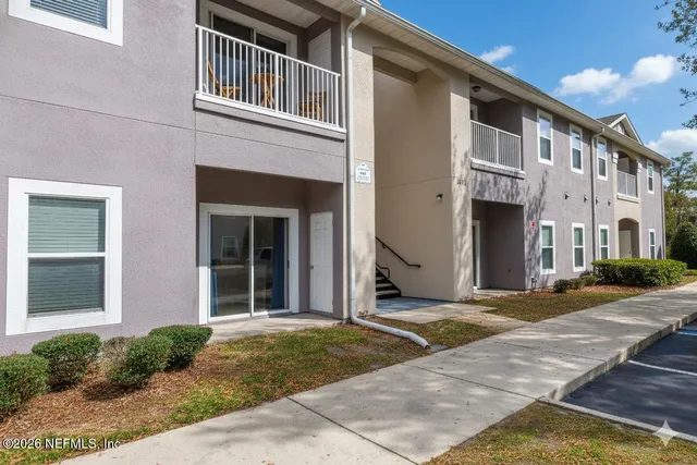 a view of a yard covered with tall trees