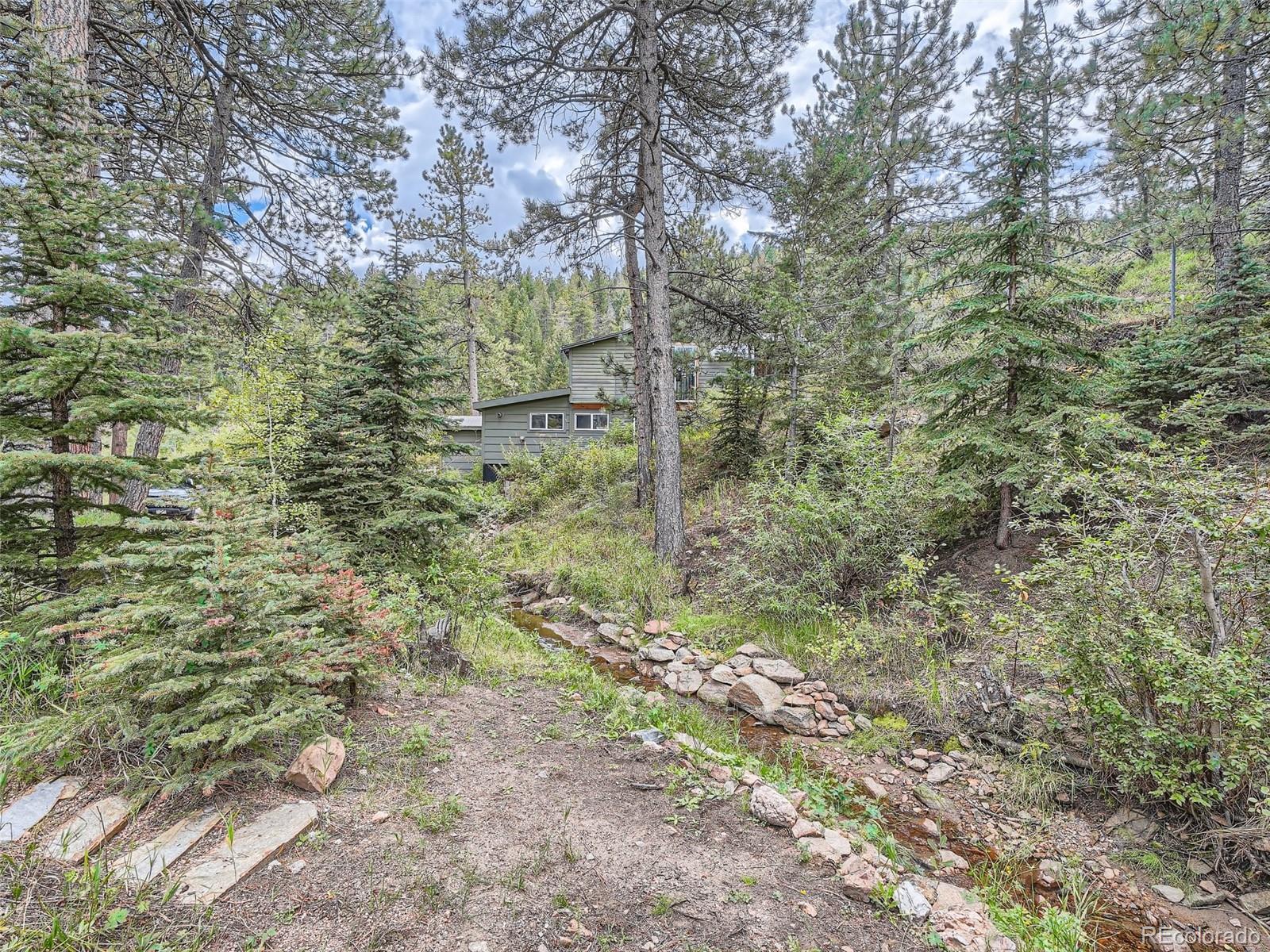 11799 Ranch Elsie Road Golden, CO 80403 - Photo 28 of 28 a view of a forest with trees in front of it