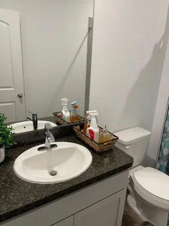 a bathroom with a sink and a toilet