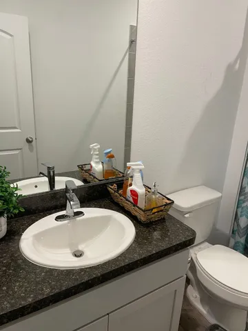 a bathroom with a sink and a toilet